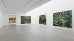 Installation video