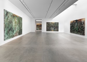 Installation view. Artwork © Anselm Kiefer. Photo: Maris Hutchinson