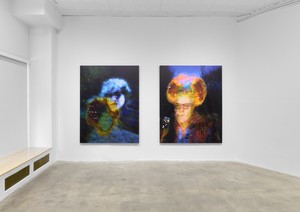 Installation view. Artwork © Eliza Douglas. Photo: Owen Conway