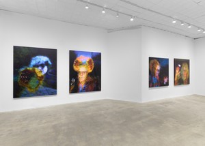 Installation view. Artwork © Eliza Douglas. Photo: Owen Conway