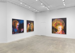 Installation view. Artwork © Eliza Douglas. Photo: Owen Conway
