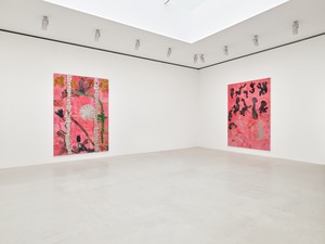 Installation view. Artwork © Ellen Gallagher. Photo: Thomas Lannes