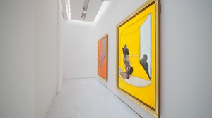 Installation video