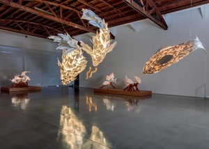 Installation view. Artwork © Frank O. Gehry. Photo: Josh White