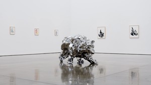 Installation video