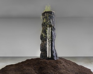 Giuseppe Penone Un anno di bronzo – Larice (A Year of Bronze – Larch), 2024. Bronze and living tree, 130 × 52 ¾ × 52 inches (330 × 134 × 132 cm), edition of 2 + 1 AP © Giuseppe Penone/2026 Artists Rights Society (ARS), New York/ADAGP, Paris. Photo: Maris Hutchinson