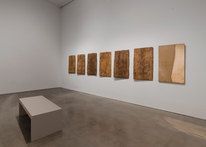 Installation view with Giuseppe Penone, Riflesso del bronzo (2005). Artwork © Giuseppe Penone/2026 Artists Rights Society (ARS), New York/ADAGP, Paris. Photo: Maris Hutchinson