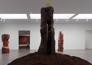 Installation view. Artwork © Giuseppe Penone/2026 Artists Rights Society (ARS), New York/ADAGP, Paris. Photo: Maris Hutchinson