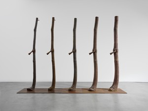 Giuseppe Penone Trattenere 6, 8, 12, 16, 20 anni di crescita (Continuerà a crescere tranne che in quel punto) (To Retain 6, 8, 12, 16, 20 Years of Growth [It Will Continue to Grow except at That Point]), 2004–24. Bronze, in 5 parts, overall: 143 ¾ × 196 ⅞ × 31 ½ inches (365 × 500 × 80 cm) © Giuseppe Penone/2026 Artists Rights Society (ARS), New York/ADAGP, Paris. Photo: Maris Hutchinson