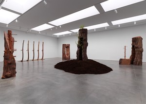 Installation view. Artwork © Giuseppe Penone/2026 Artists Rights Society (ARS), New York/ADAGP, Paris. Photo: Maris Hutchinson
