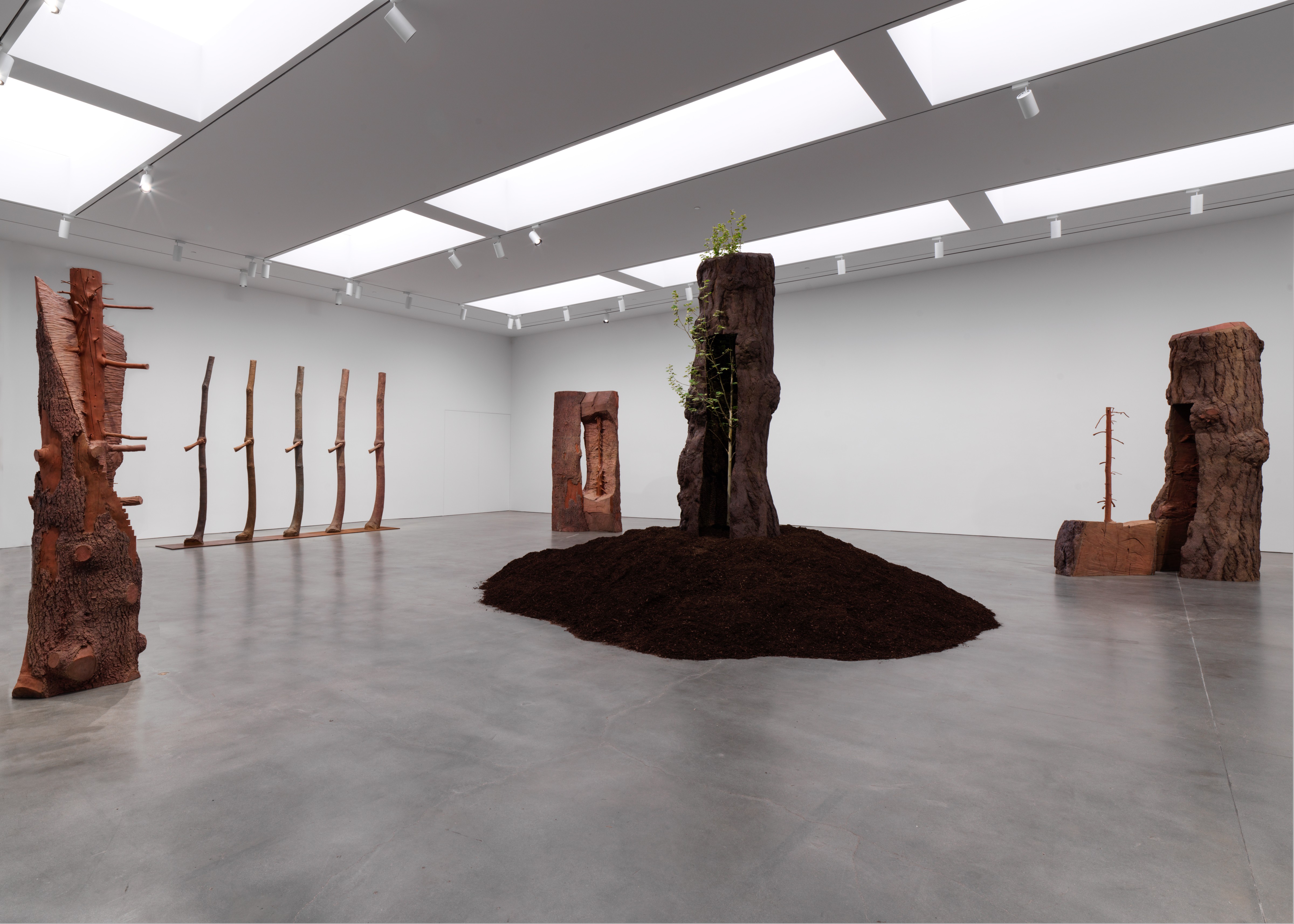 Giuseppe Penone: The Reflection of Bronze, 555 West 24th Street