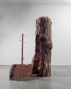 Giuseppe Penone Clepsydra [1], 2012. Bronze, in 2 parts, overall: 130 ¾ × 110 × 49 ⅝ inches (331.9 × 129.4 × 126 cm), edition of 2 + 1 AP © Giuseppe Penone/2026 Artists Rights Society (ARS), New York/ADAGP, Paris. Photo: Maris Hutchinson