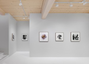 芸術写真 IRVING PENN Irving Penn, Gstaad, February 14–April 6, 2026 | Gagosian