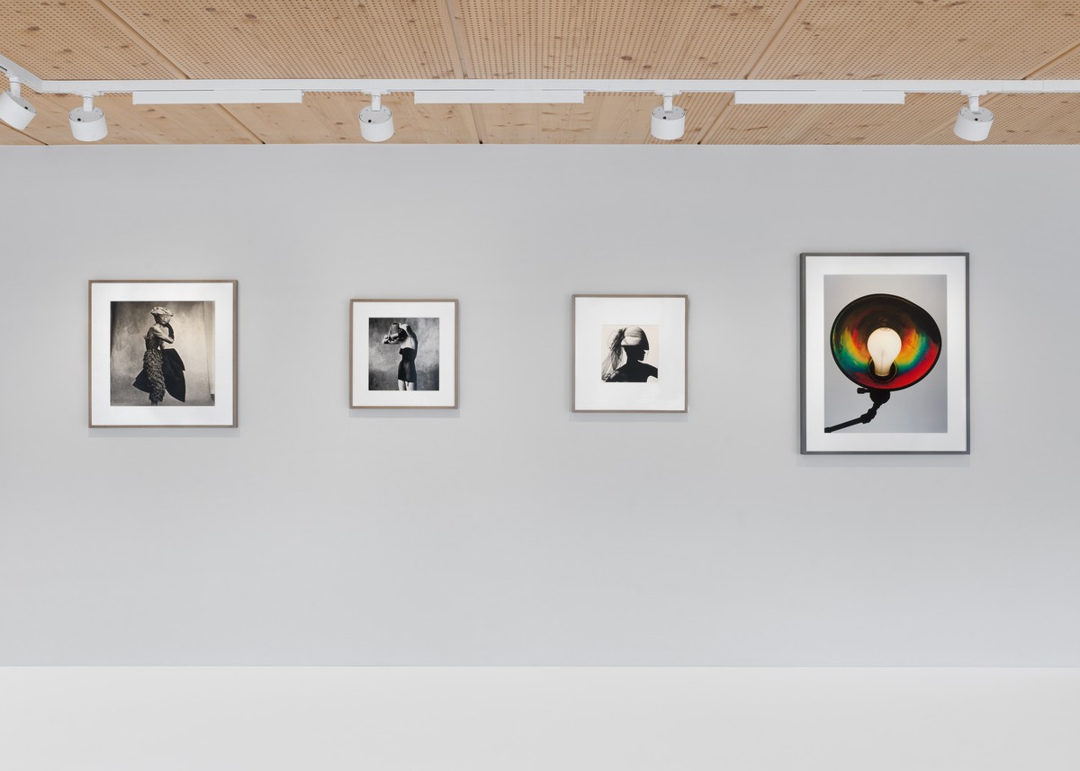 【Irving Penn： Photographs of Day 】新品 Irving Penn, Gstaad, February 14–April 6, 2026 | Gagosian