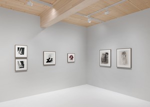 Irving Penn, Gstaad, February 14–April 6, 2026 | Gagosian