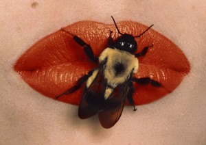 Irving Penn Bee on Lips, New York, 1995. Dye transfer print, 16 × 22 ½ inches (40.5 × 57.2 cm), edition of 11 © Condé Nast