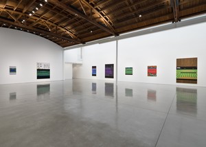 Installation view. Artwork © Jonas Wood. Photo: Jeff McLane