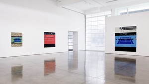 Installation video