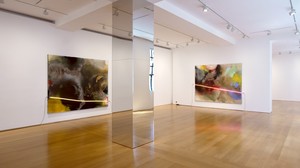 Installation video