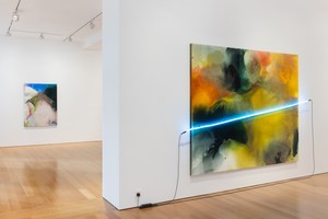 Installation view. Artwork © Mary Weatherford. Photo: Ringo Cheung
