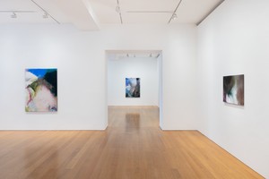 Installation view. Artwork © Mary Weatherford. Photo: Ringo Cheung
