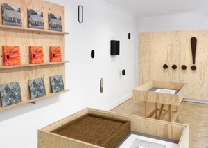 Installation view. Artwork © Estate of Richard Artschwager. Photo: Prudence Cuming Associates Ltd