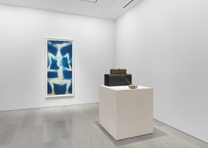 Installation view. Artwork © 2026 Robert Rauschenberg Foundation/Artists Rights Society (ARS), New York. Photo: Owen Conway