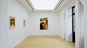Installation video