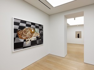 Installation view. Artwork © Roe Ethridge. Photo: Stathis Mamalakis