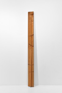 Giuseppe Penone Albero di 15 rami, 1977. Larch, 98 × 7 ½ × 3 ¾ inches (249 × 19 × 9.5 cm) © Giuseppe Penone/2026 Artists Rights Society (ARS), New York/ADAGP, Paris. Photo: Thomas Lannes