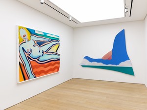 Installation view. Artwork © The Estate of Tom Wesselmann/Licensed by ARS/VAGA, New York. Photo: Stathis Mamalakis