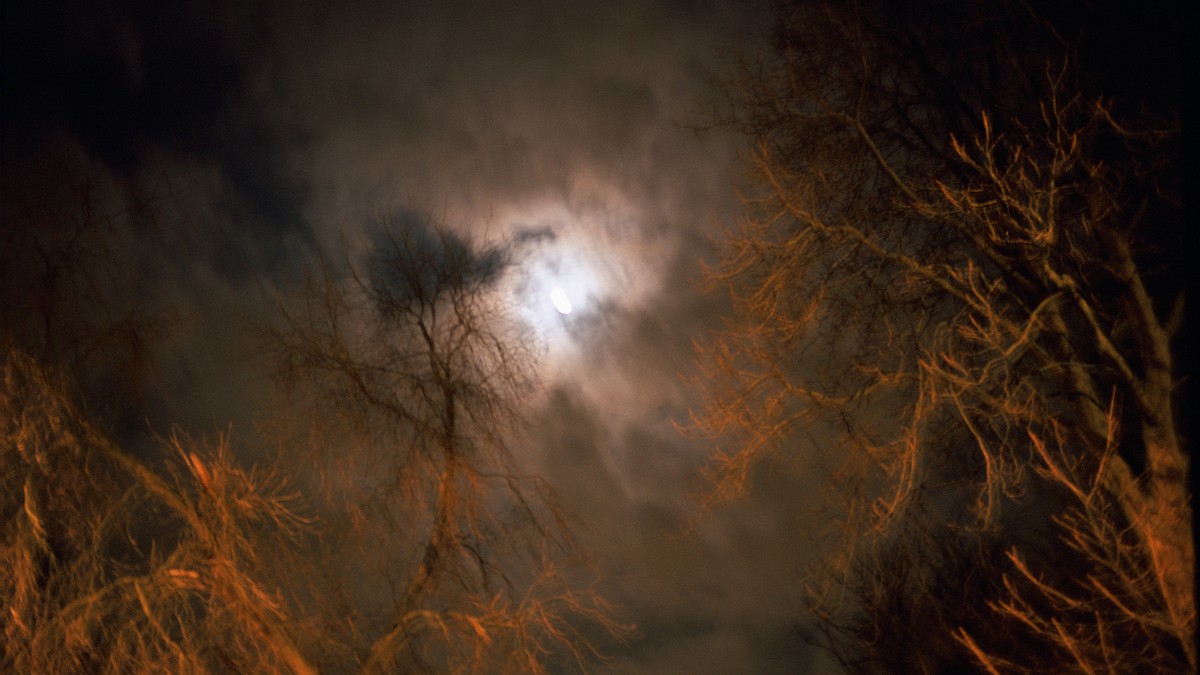 Moon in night sky scene through tree branches and clouds