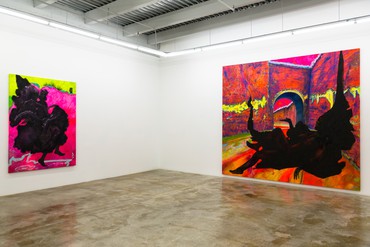 Installation view, High Anxiety: New Acquisitions, Rubell Museum, Miami, November 30, 2016–August 25, 2017. Artwork © Cy Gavin. Photo: Chi Lam, courtesy Rubell Museum, Miami