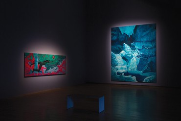 Installation view, The Lure of the Dark: Contemporary Painters Conjure the Night, MASS MoCA, North Adams, Massachusetts, March 3, 2018–March 10, 2019. Artwork © Cy Gavin. Photo: David Dashiell