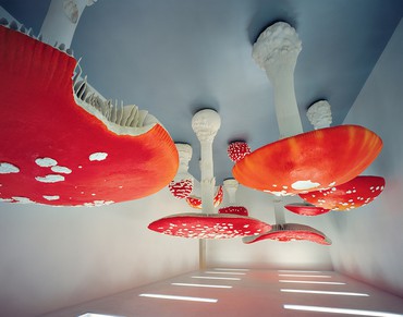 Carsten Höller, Upside-Down Mushroom Room, 2000 © Carsten Höller. Photo by Attilio Maranzano, courtesy Fondazione Prada