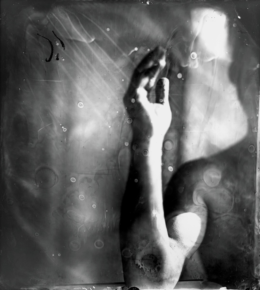 Sally Mann in: Time Lapse: Contemporary Analog Photography 