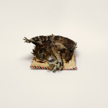 Taryn Simon, Bird corpse, labeled as home décor, Indonesia to Miami, Florida (prohibited) from Animal Corpses (Prohibited), Animal Parts (Prohibited), Animal Skeletons (Prohibited), Animal Specimens (Prohibited), Snails (Prohibited), Butterflies (Prohibited) from the series Contraband, 2010 © Taryn Simon
