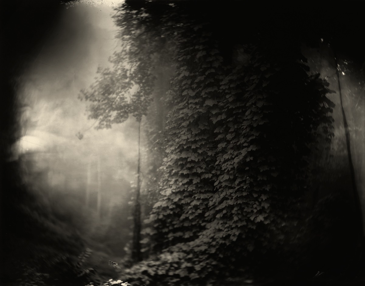 sally mann landscapes