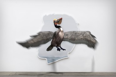 Alex Israel, Self-Portrait (Pelican with Fish), 2019 © Alex Israel