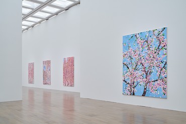 Installation view, Damien Hirst: Cherry Blossoms, National Art Center, Tokyo, March 2–May 23, 2022. Artwork © Damien Hirst and Science Ltd. All rights reserved, DACS 2022