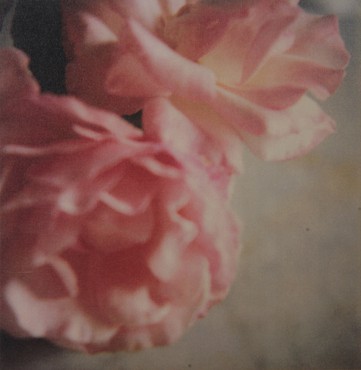 Cy Twombly, Roses&nbsp;(Gaeta), 2004 © Fondazione Nicola Del Roscio