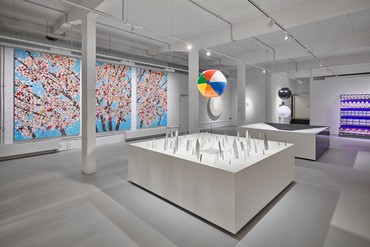 Installation view, Damien Hirst: The Weight of Things, Museum of Urban and Contemporary Art, Munich, open from October 26, 2023 © Damien Hirst and Science Ltd. All rights reserved, DACS 2023. Photo: Prudence Cuming Associates Ltd