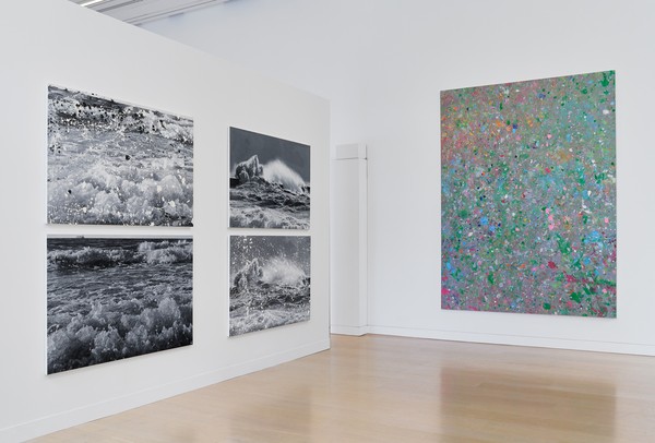 Damien Hirst: Where the Land Meets the Sea | Events | News | Gagosian
