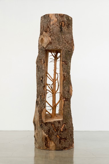 Giuseppe Penone,&nbsp;Albero porta – cedro (Door Tree – Cedar), 2012 © Giuseppe Penone. Photo: Josh White