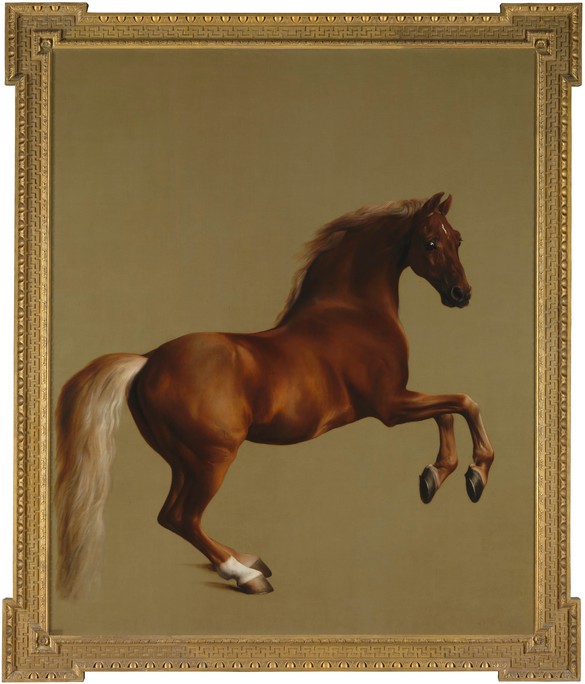 George Stubbs, Whistlejacket, c. 1762, oil on canvas, 116 ½ × 97 ½ inches (296.1 × 248 cm), National Gallery, London