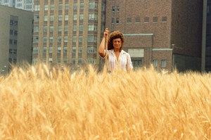 Artist Agnes Denes stands in a field of wheat