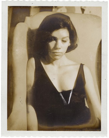 Andy Warhol: From the Polaroid and Back Again