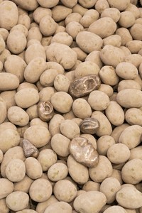 Giuseppe Penone, Patate, 1977 (detail), bronze, potatoes, overall dimensions variable, private collection © Giuseppe Penone/Artists Rights Society (ARS), New York/ADAGP, Paris. Photo: Nicolas Brasseur/Pinault Collection