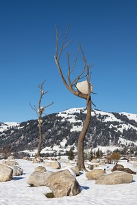 <p>Giuseppe Penone’s <em>Idee di pietra — Olmo</em> (2008) and <em>Idee di pietra — Ciliegio&nbsp;</em>(2011) on view in Gstaad, Switzerland, December 13, 2017–March 30, 2018. Photo: Marcus Veith</p>