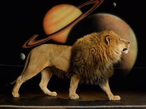 <p>Awol Erizku, <em>Lion (Body) I</em>, 2022, Duratrans on lightbox, 49 ⅜ × 65 ⅝ × 3 ¾ inches (125.4 × 166.7 × 9.5 cm) © Awol Erizku</p>